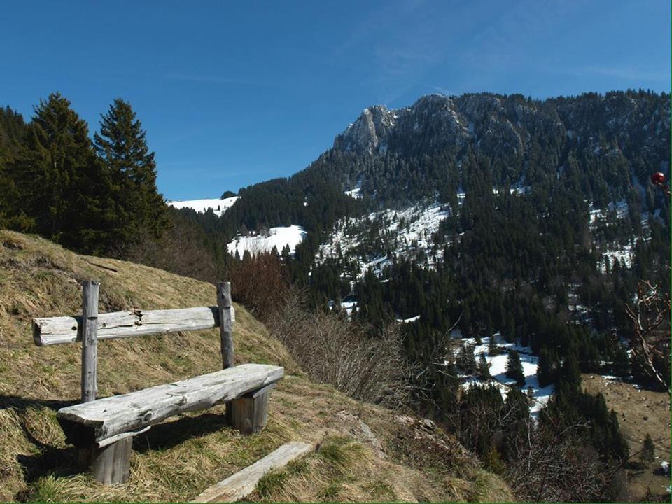 La Case Bed and Breakfast Abondance Buitenkant foto